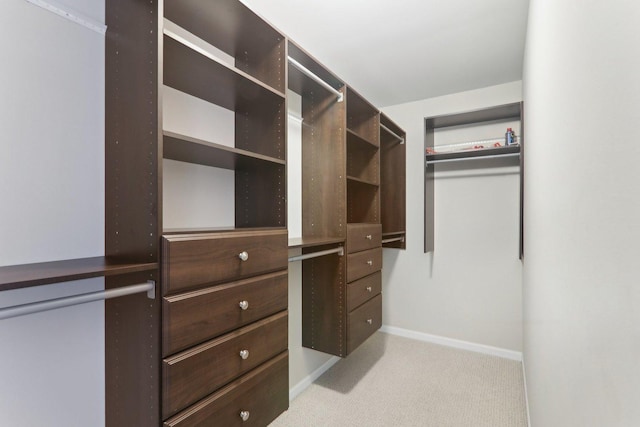 spacious closet with light colored carpet