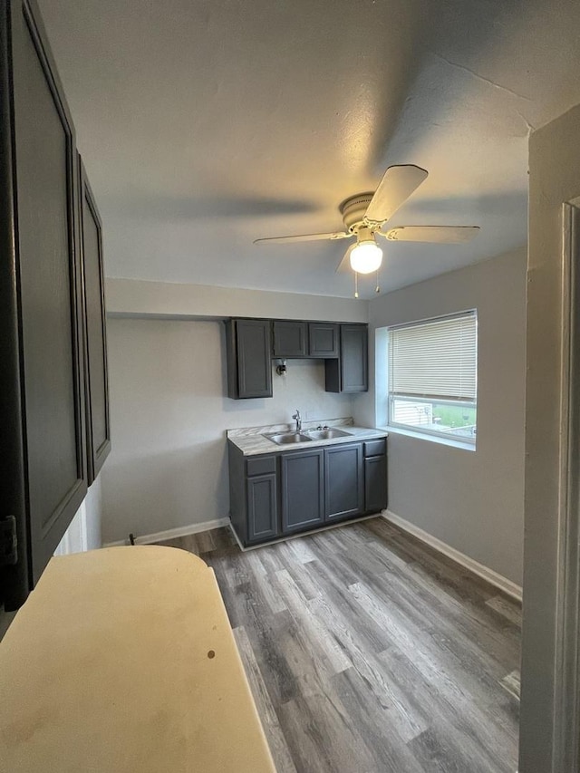 kitchen featuring wood finished floors, a sink, a ceiling fan, baseboards, and gray cabinets