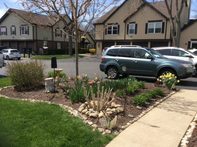 view of yard featuring a residential view