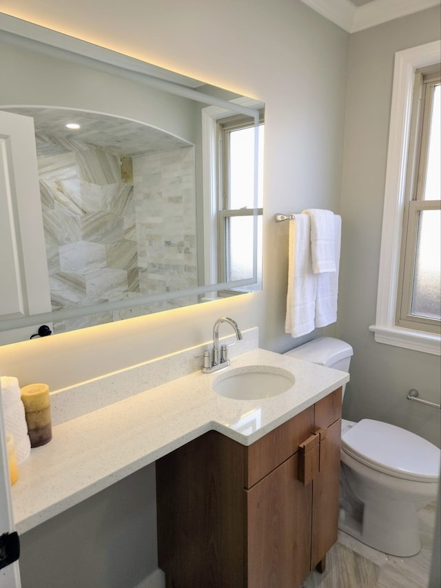 bathroom with toilet and vanity