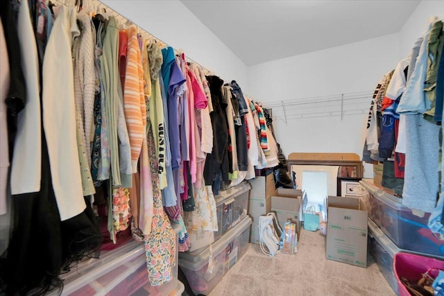 spacious closet featuring carpet