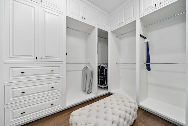 spacious closet featuring dark wood-style floors