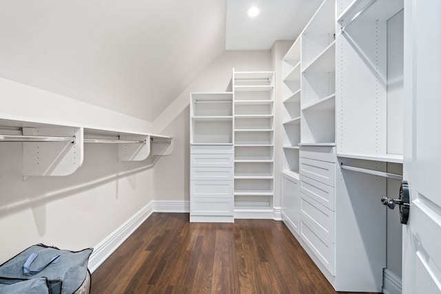 walk in closet featuring vaulted ceiling and dark wood-type flooring