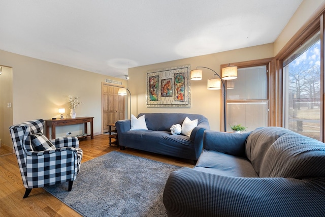 living area featuring wood finished floors