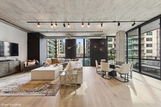 living room featuring expansive windows, wood finished floors, a wealth of natural light, and track lighting