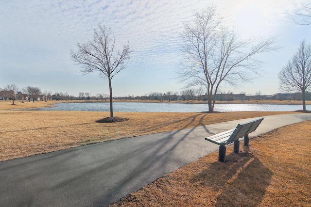 view of street with a water view