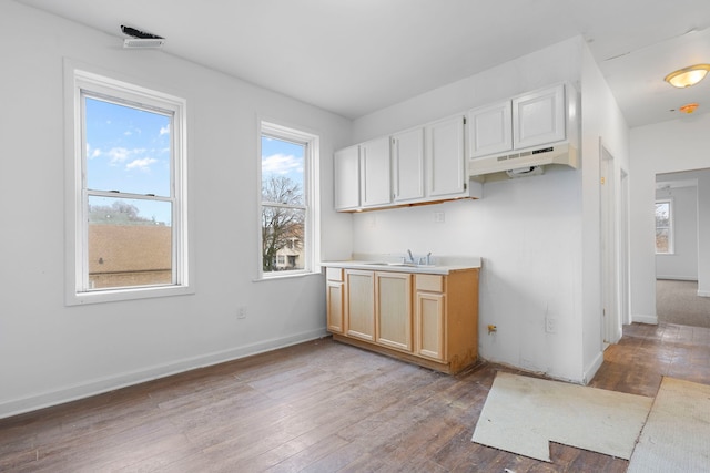 interior space with baseboards, wood finished floors, light countertops, under cabinet range hood, and a sink