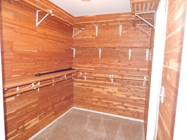 spacious closet featuring carpet flooring