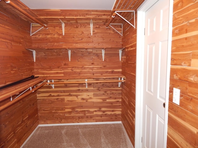 walk in closet featuring carpet flooring