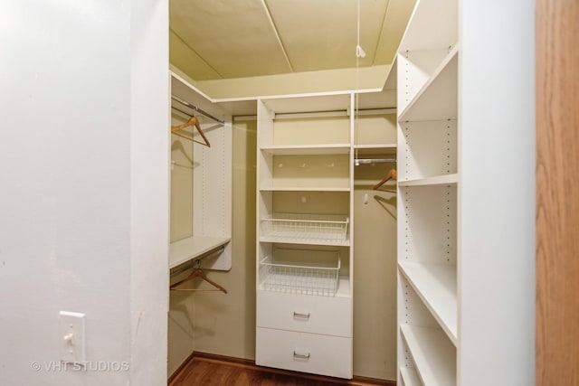 spacious closet with wood finished floors