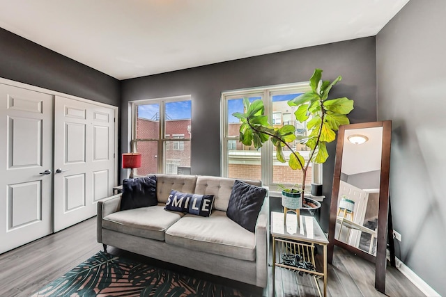 living area featuring wood finished floors and baseboards