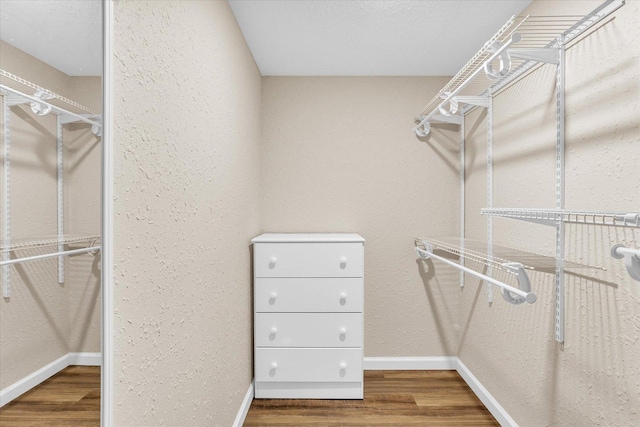 spacious closet with wood finished floors