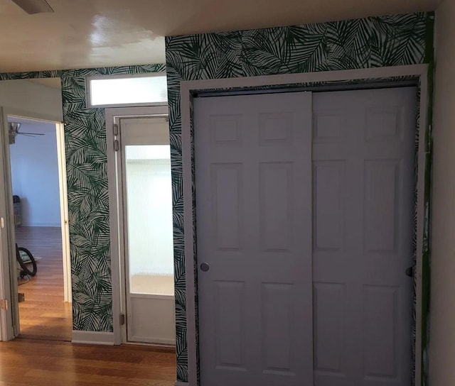 doorway to outside featuring baseboards, wood finished floors, and wallpapered walls