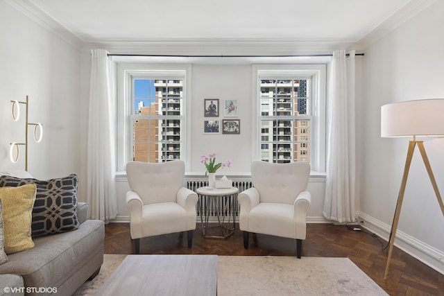 living area featuring radiator heating unit, ornamental molding, and baseboards