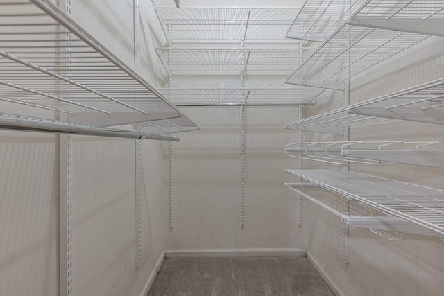 spacious closet with carpet floors