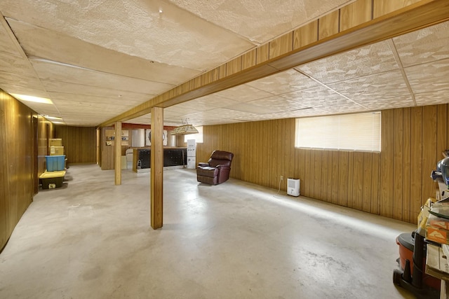 basement with wooden walls