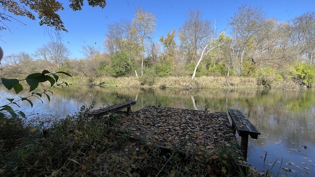 dock area featuring a water view