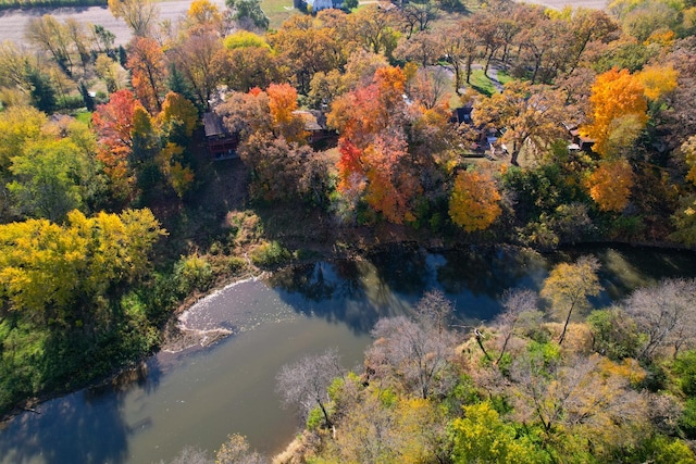 bird's eye view with a water view and a view of trees