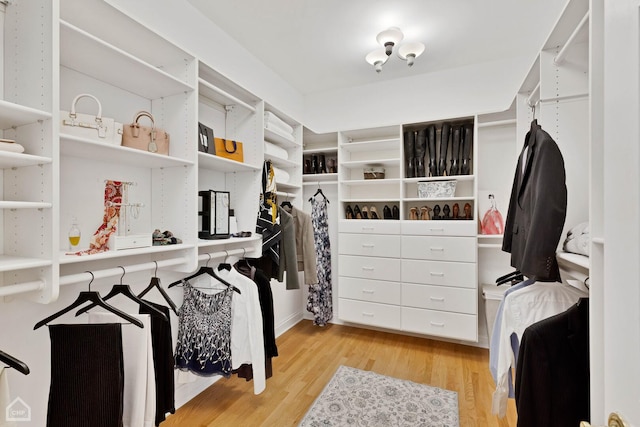 walk in closet with light wood-style flooring