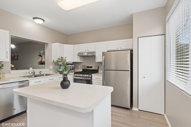 kitchen featuring under cabinet range hood, stainless steel appliances, a sink, and light countertops