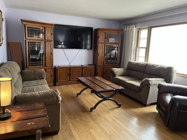 living room featuring light wood-style flooring