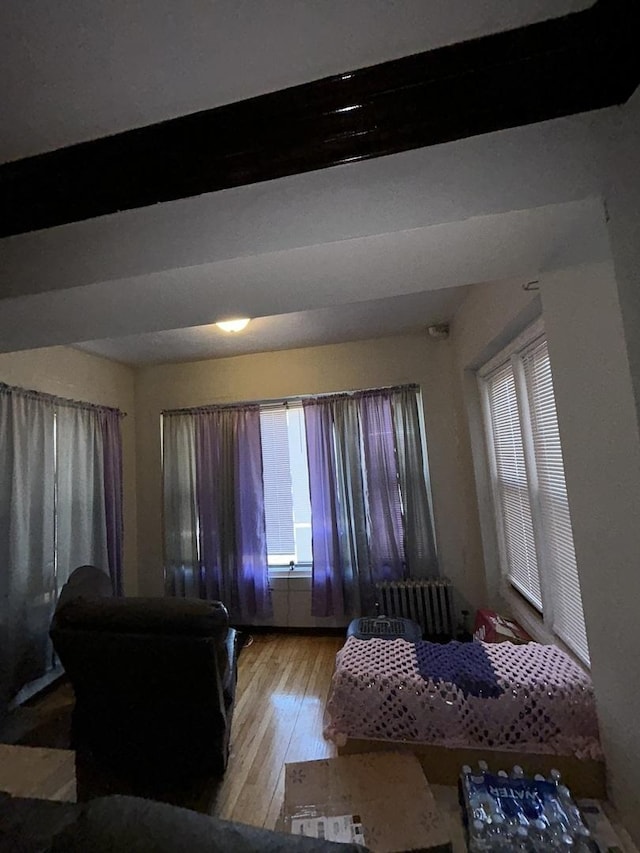 living room with radiator heating unit and wood-type flooring