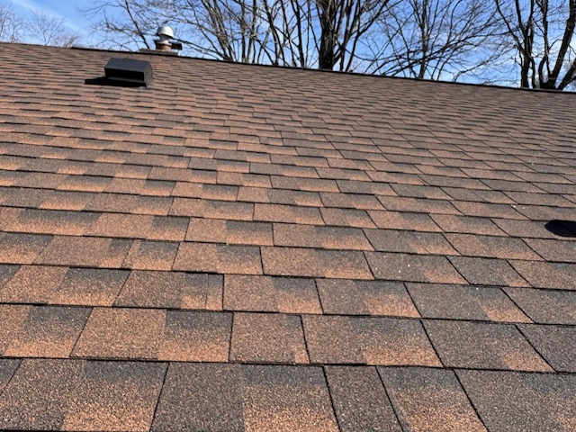 details with roof with shingles