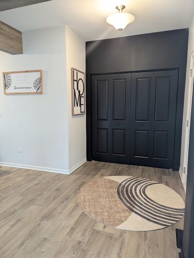 foyer with baseboards and wood finished floors