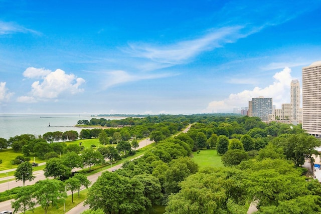 drone / aerial view featuring a view of city and a water view