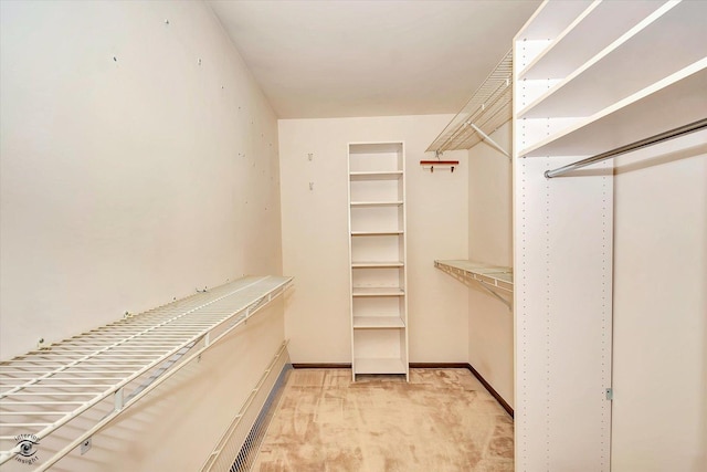 walk in closet with light colored carpet