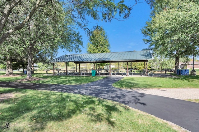 view of community with a lawn