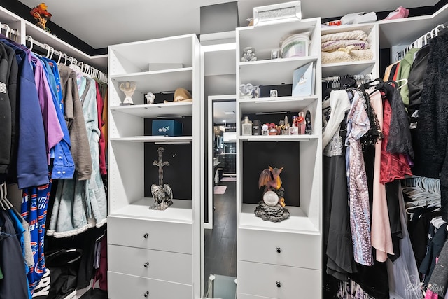 view of walk in closet