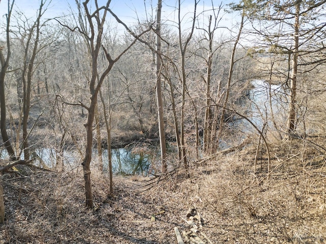 property view of water featuring a wooded view