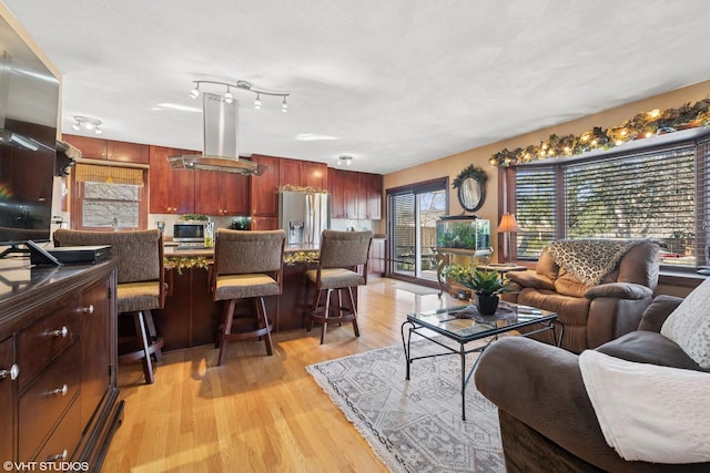 living room with light wood-style flooring