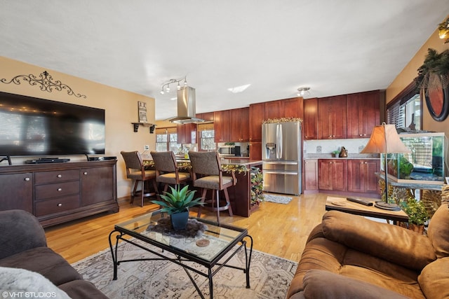 living area featuring light wood-style floors