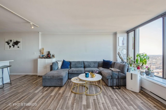 living room with rail lighting, baseboards, and wood finished floors