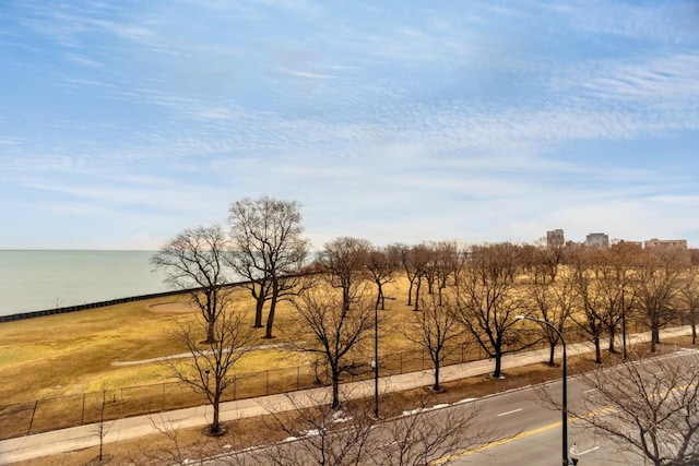 view of local wilderness featuring a water view