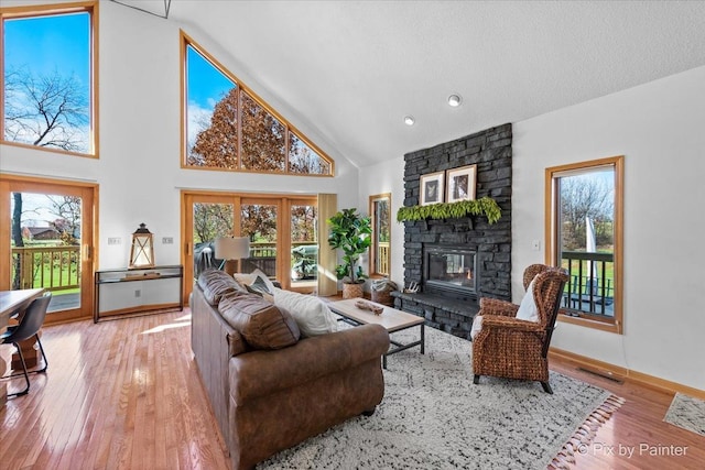 living room with a fireplace, wood finished floors, and a healthy amount of sunlight