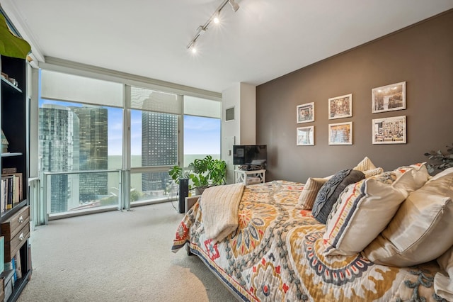 carpeted bedroom featuring visible vents, track lighting, and floor to ceiling windows