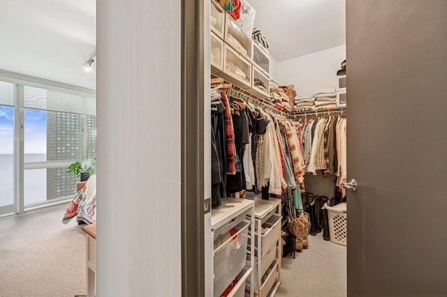 spacious closet with carpet