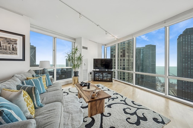 living room featuring a healthy amount of sunlight, rail lighting, wood finished floors, and expansive windows