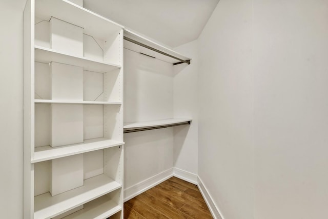 walk in closet featuring wood finished floors