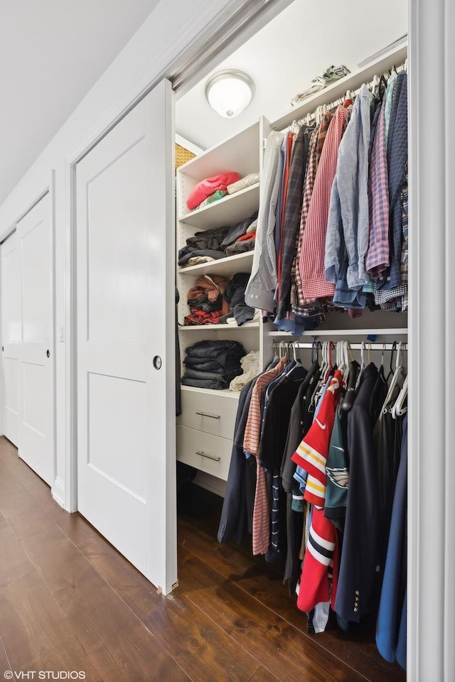 view of closet