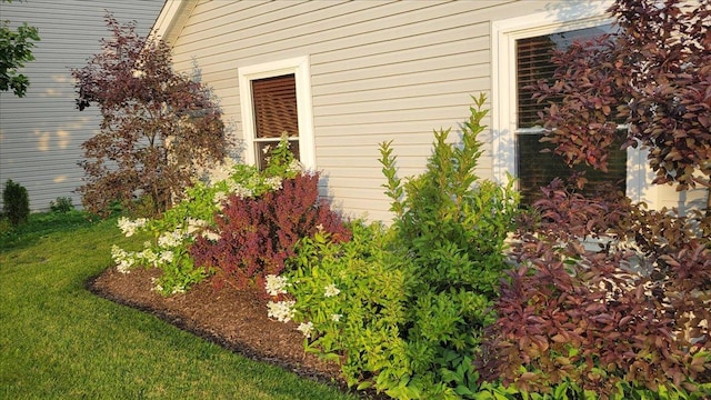 view of home's exterior with a yard