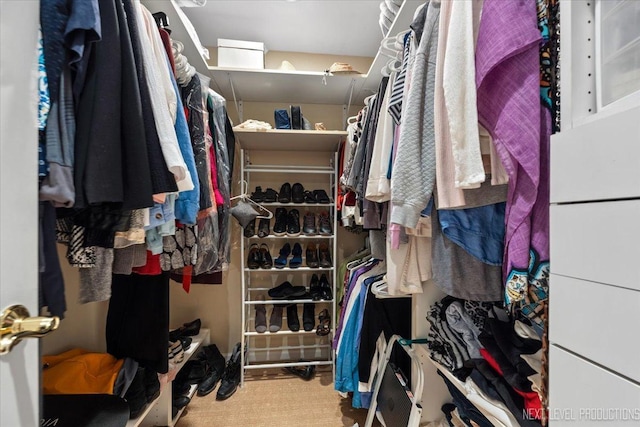 view of spacious closet