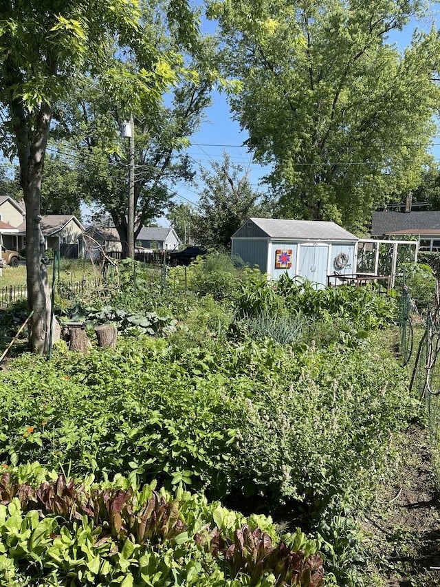 view of yard featuring an outbuilding