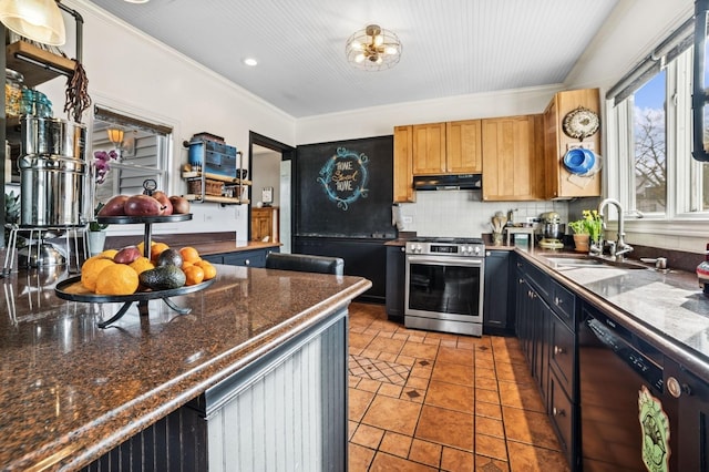 kitchen featuring under cabinet range hood, a sink, black dishwasher, backsplash, and stainless steel range with gas stovetop