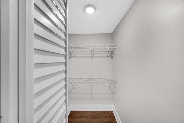 walk in closet featuring dark wood-style flooring