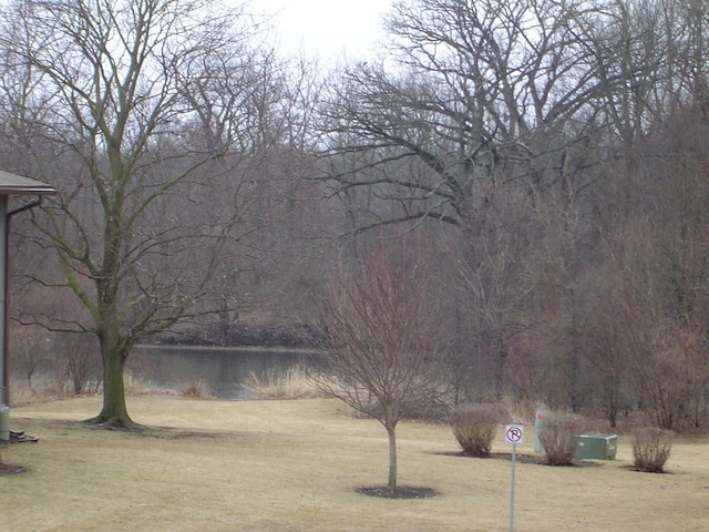 view of home's community with a lawn and a water view