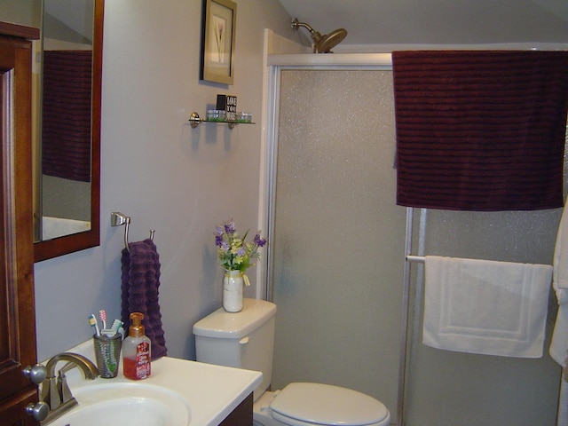 bathroom featuring vanity, a shower stall, and toilet